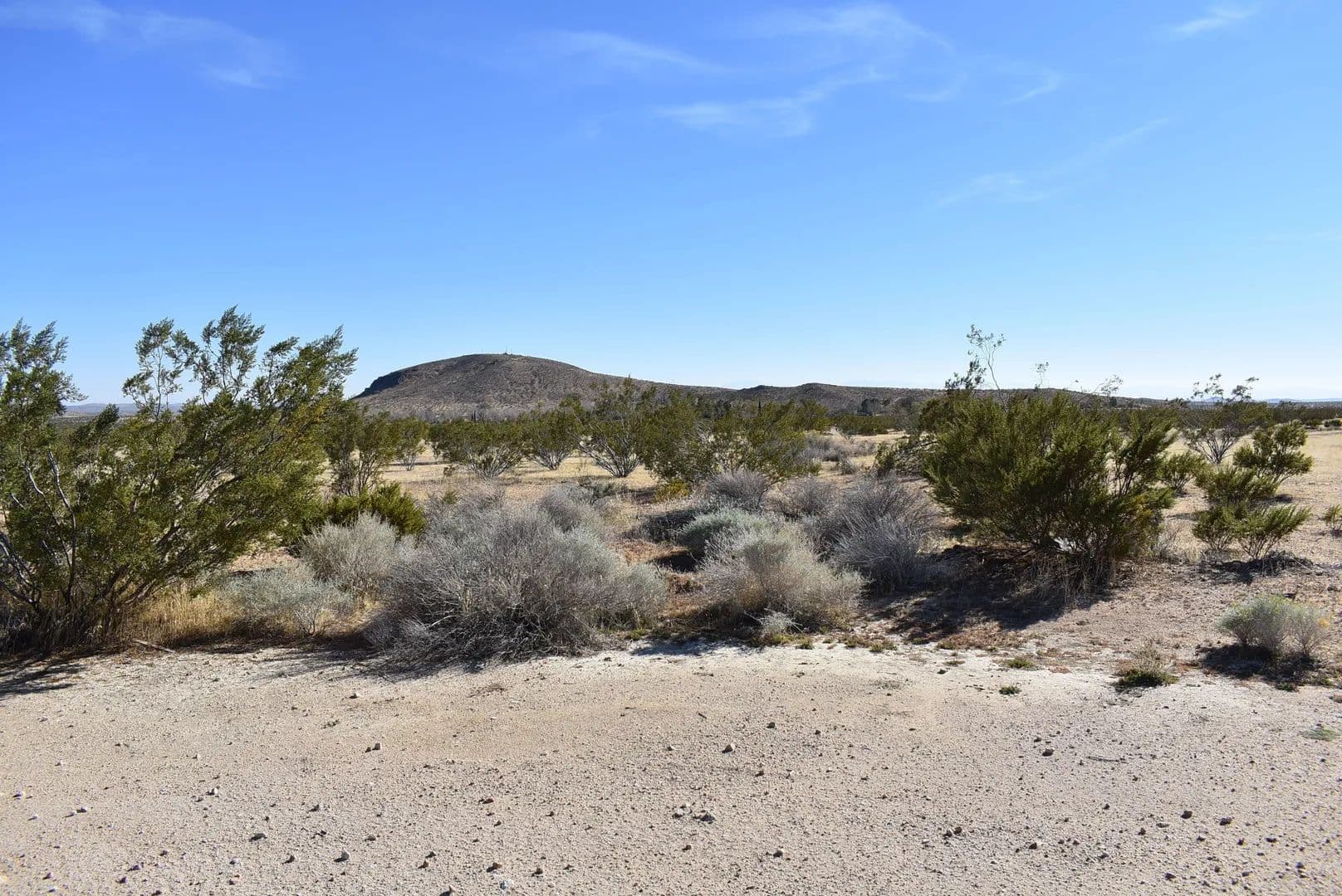 Lots & Land-Other in California City - California City, California, 93505
