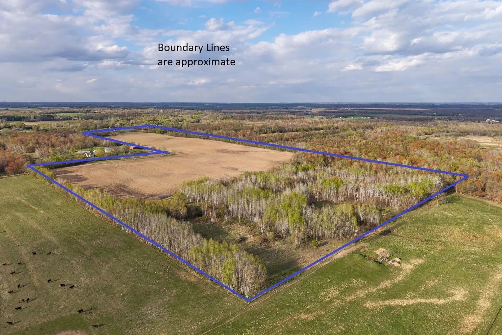 58.36 Acres of Land for Sale in Harris, MN - Harris, Minnesota, 55032