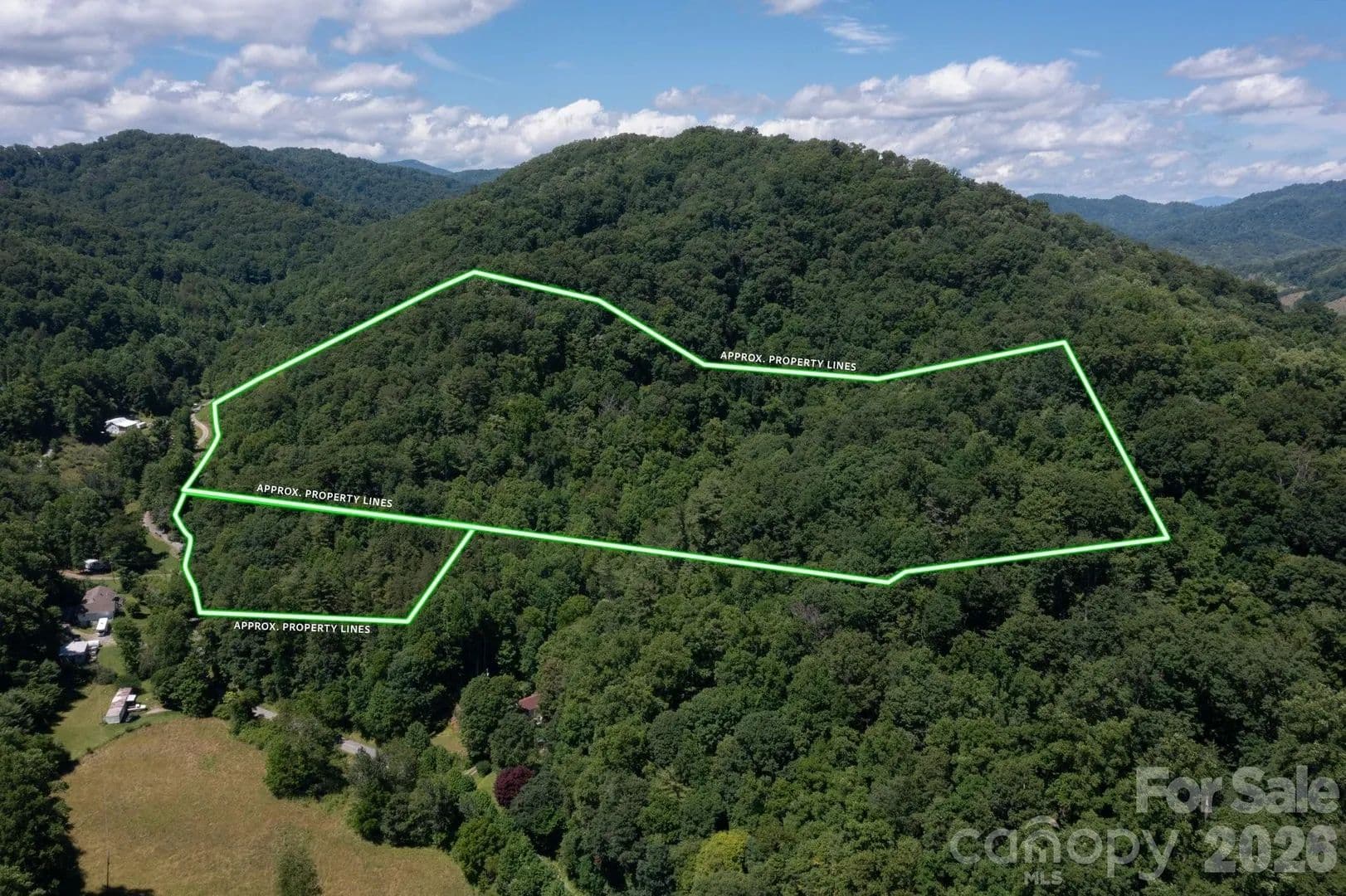 23.16 Acres of Land for Sale in Mars Hill, NC - Mars Hill, North Carolina, 28754