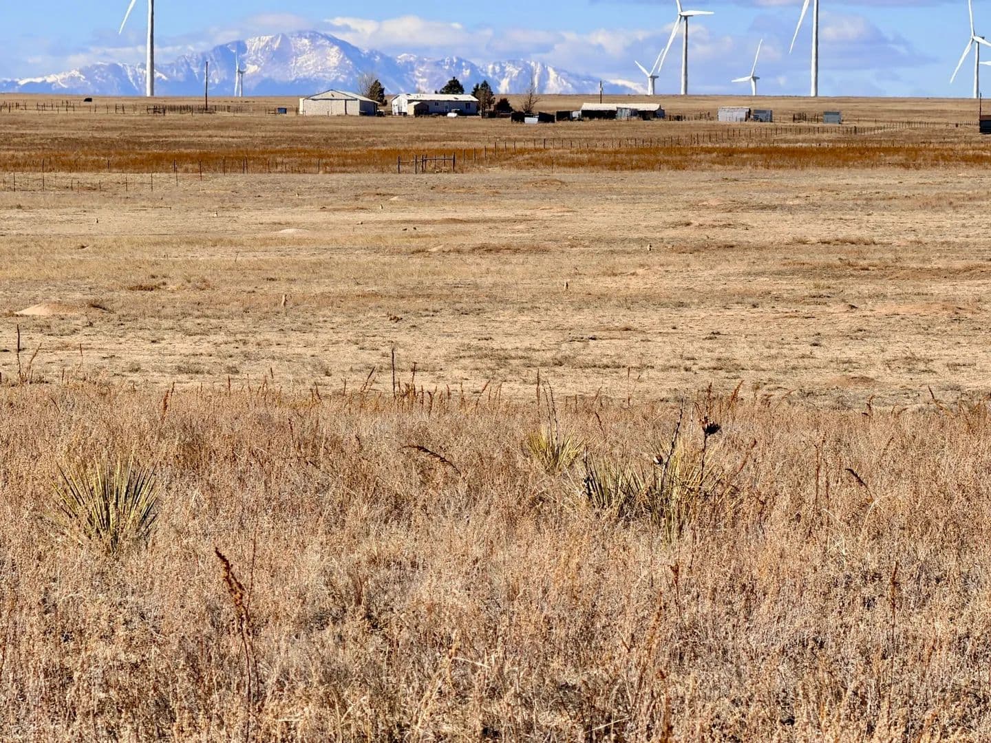 Mulberry North or South - Calhan, Colorado, 80808