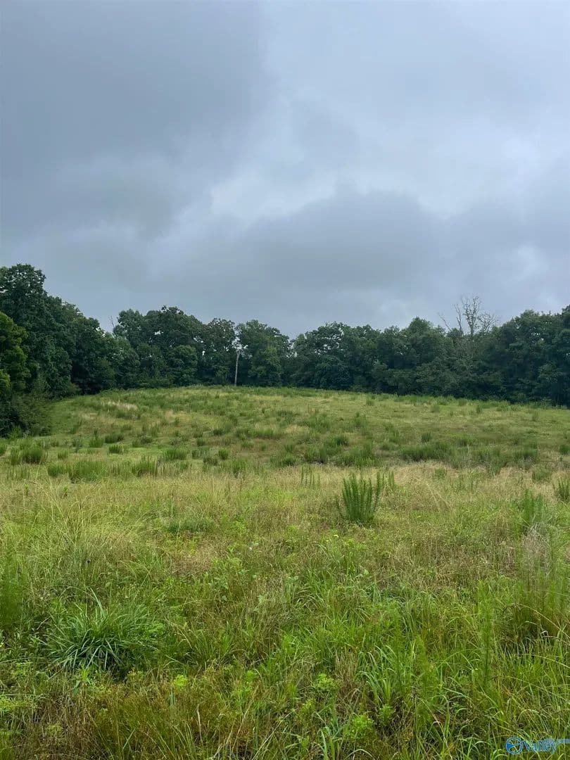 41 Acres of Land for Sale in Arab, Alabama - Arab, Alabama, 35016