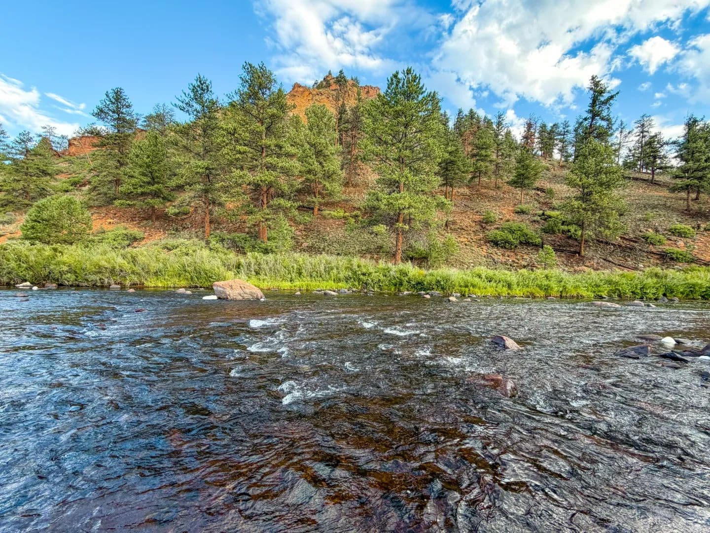Cathedral Trail Ranch - land for sale