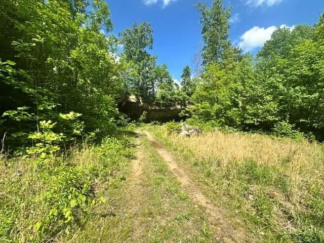 Property from 00 Bear Knob Ln - KW - Crawford, Tennessee, 38554