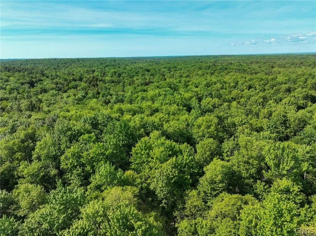 Land -Single Family Acreage in Constantia - Constantia, New York, 13028