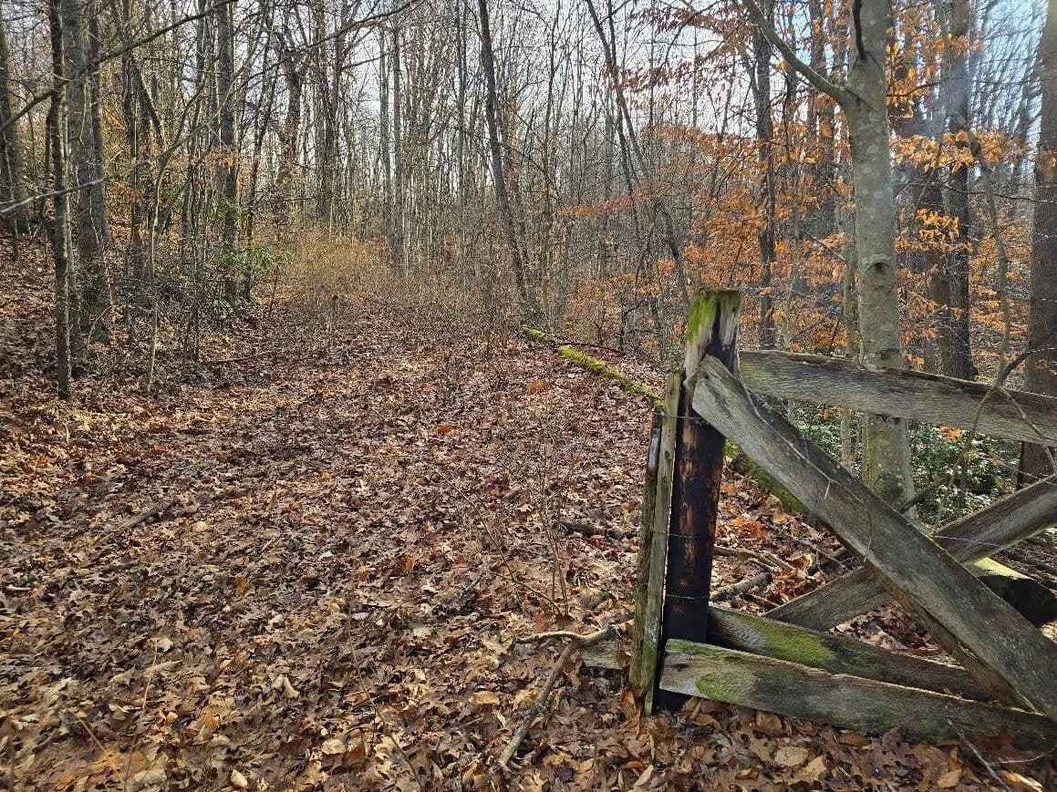 Land for Sale in Oak Hill, WV - Oak Hill, West Virginia, 25840
