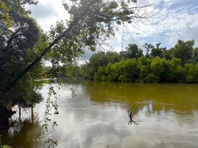 1.15 Acres of Land for Sale in Wewahitchka, Florida - Wewahitchka, Florida, 32465