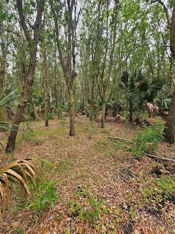 Vacant Land in OVIEDO - Oviedo, Florida, 32765