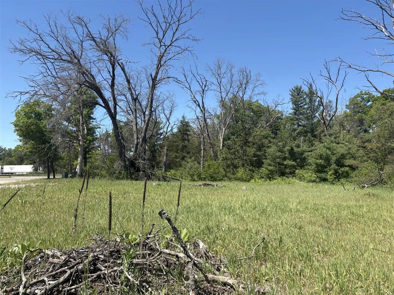 Property from 9457 S Michigan 37 - KW - Baldwin, Michigan, 49304