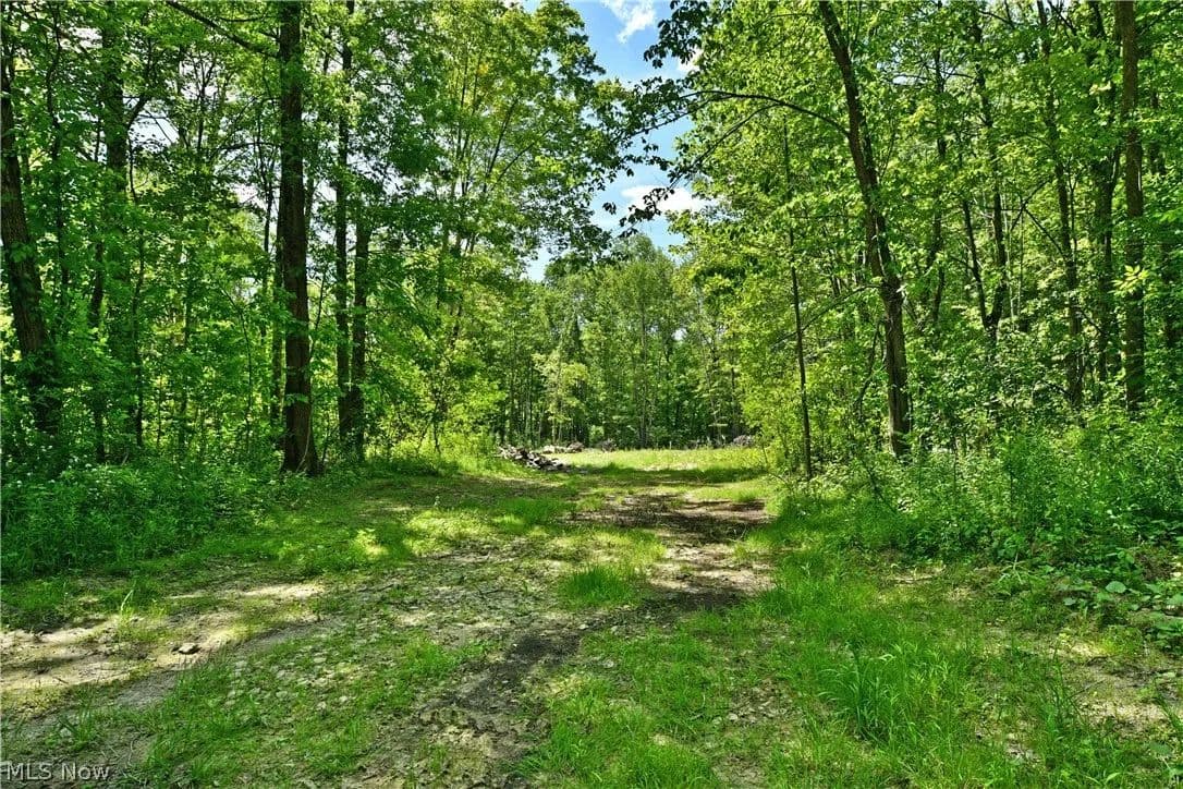 2.19 Acres of Land for Sale in Bristolville, Ohio - Bristolville, Ohio, 44402