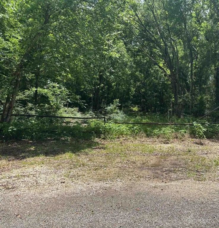 5.58 Acres of Land for Sale in Acadia County, Louisiana - Louisiana, 70531
