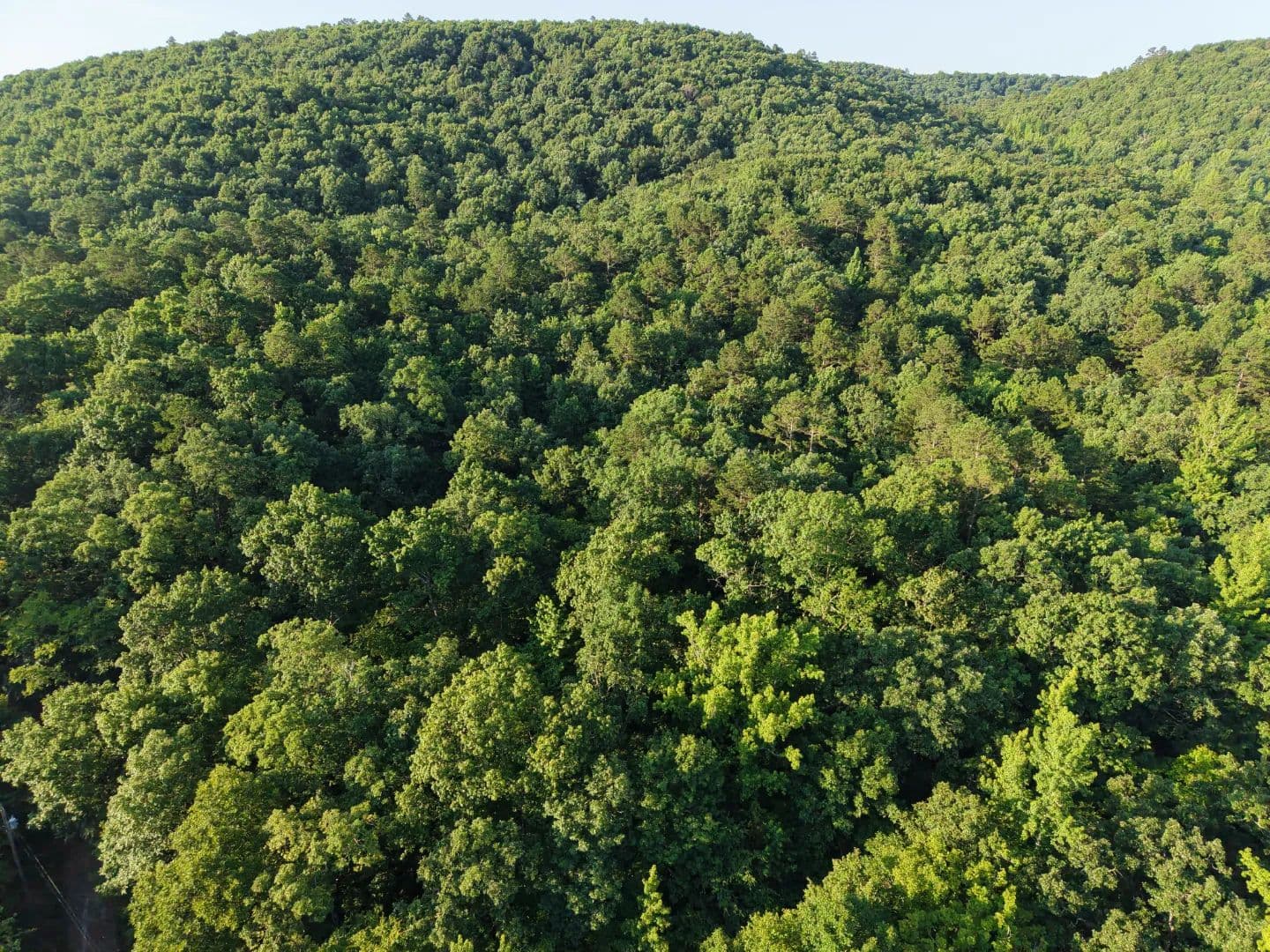 3.24 Acres in Polk County, AR - Mena, Arkansas, 71953