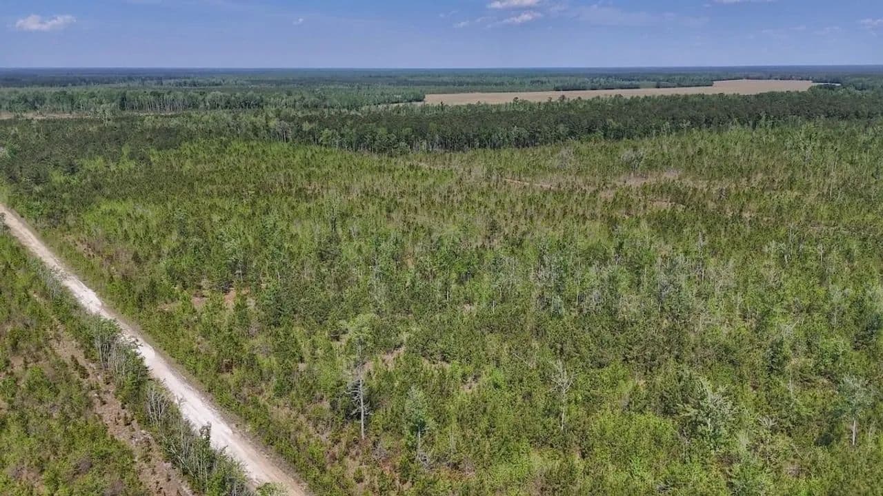 25 acres of Recreational Timberland For Sale in Craven County! - Ernul, North Carolina, 28527