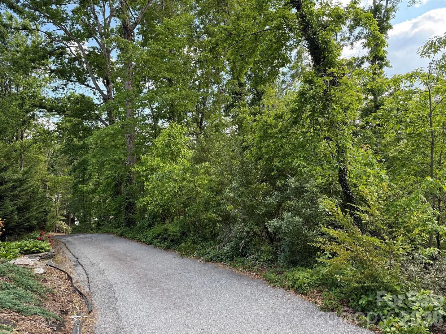 Property from 53 Will Road #2 - KW - Hendersonville, North Carolina, 28792
