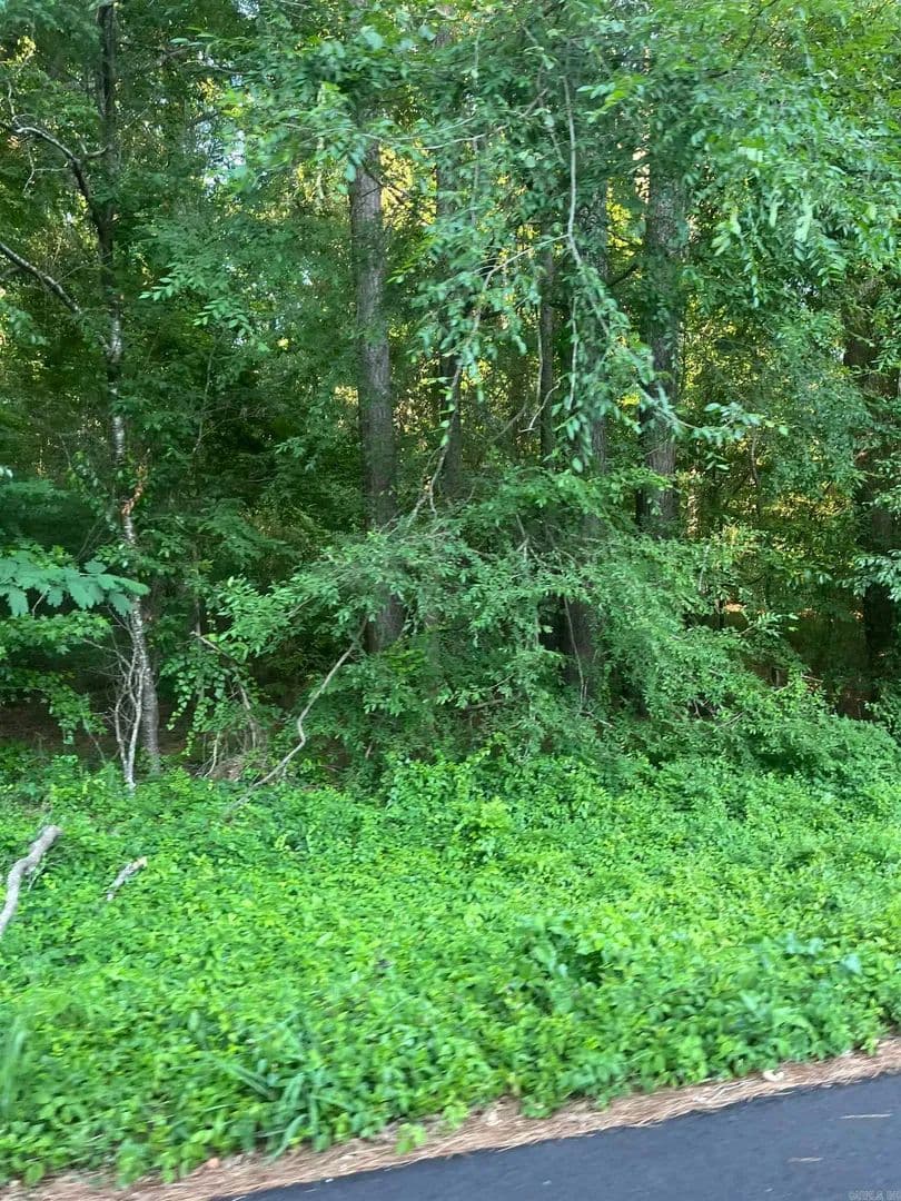 Property from Lot 37 Tanglewood II - KW - Monticello, Arkansas, 71655