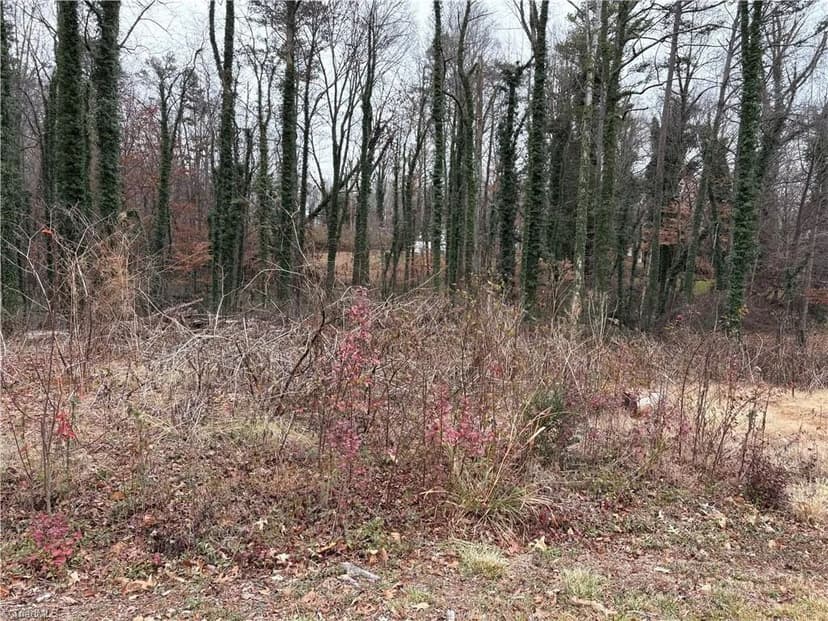 Vacant Land in Rural Hall