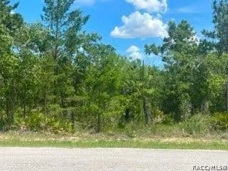Property from 20 Smilax Court - KW - Homosassa, Florida, 34446