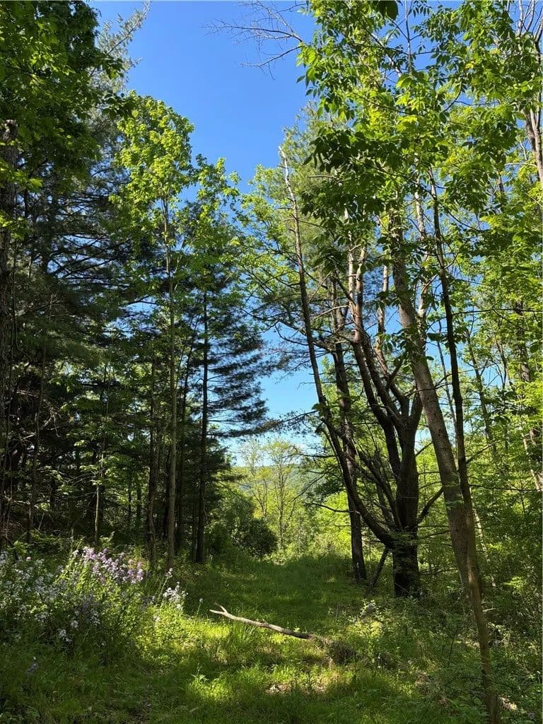 Property from 0 Cr-8 - KW - Montour Falls, New York, 14865