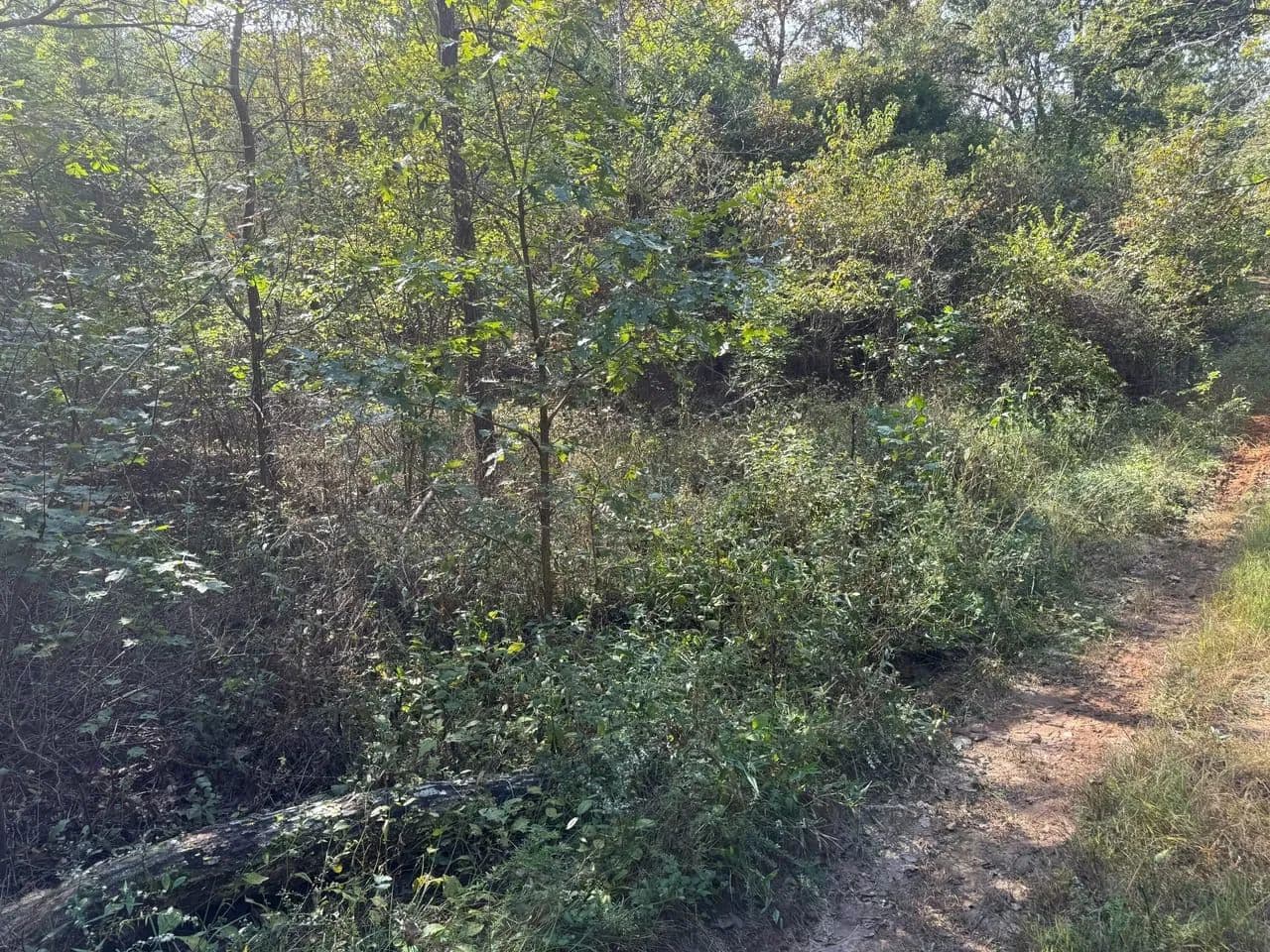 Spring Creek - Beulah, Missouri, 65436