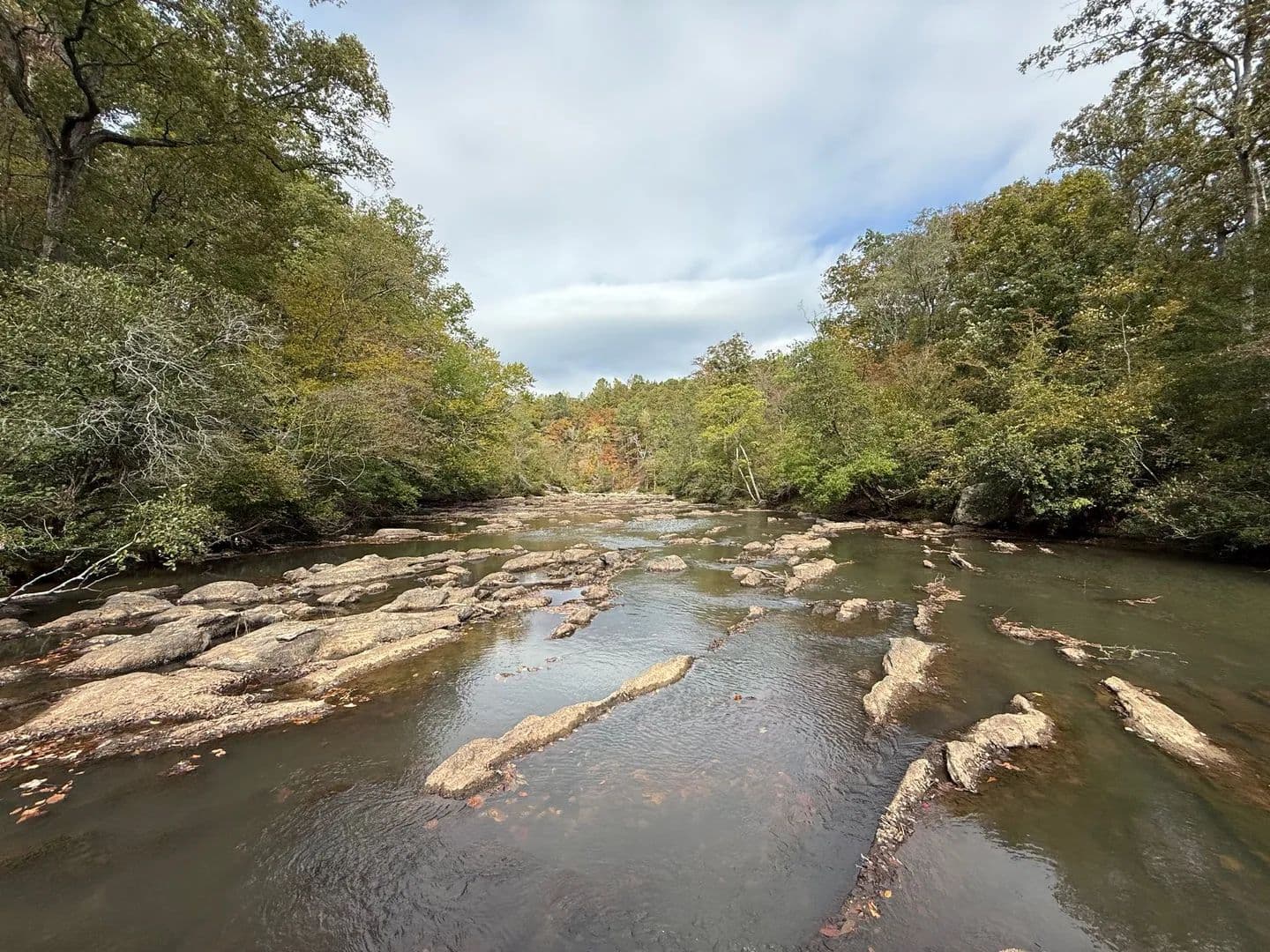 Socapatoy Creek Tract 20+/- acres - land for sale
