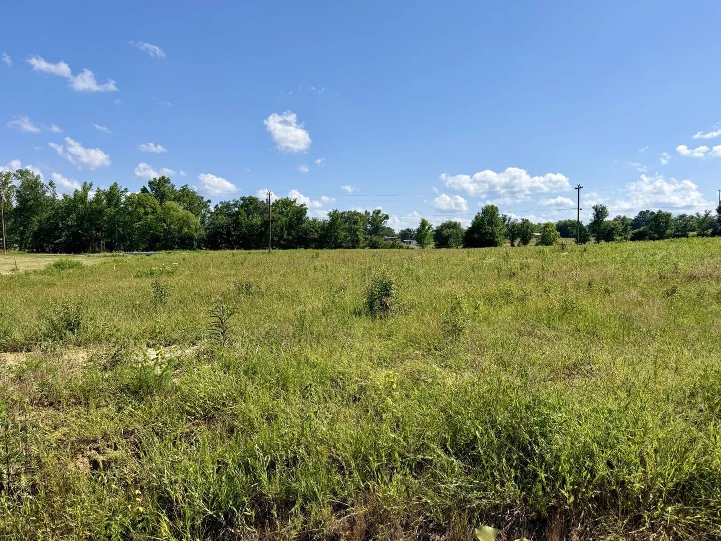 Property from 791 Regan Loop - KW - land for sale