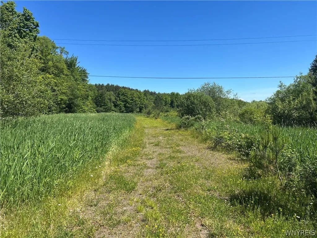 Property from Warner Hill Road - KW - Wales Center, New York, 14169
