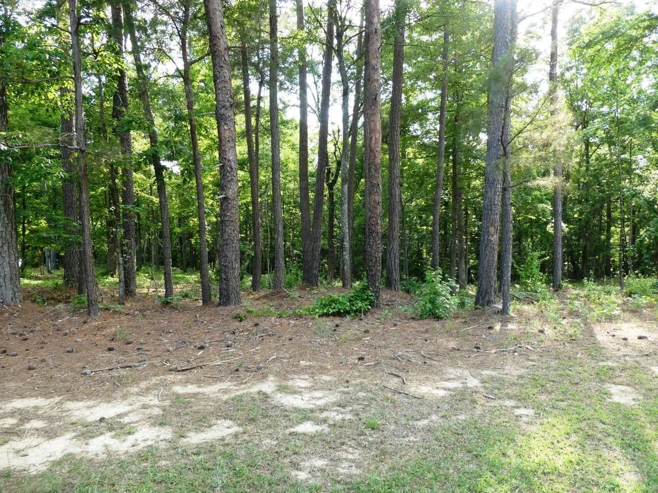 Property from LOT 73 HARBOR LIGHT TRAIL - KW - Jasper, Alabama, 35504