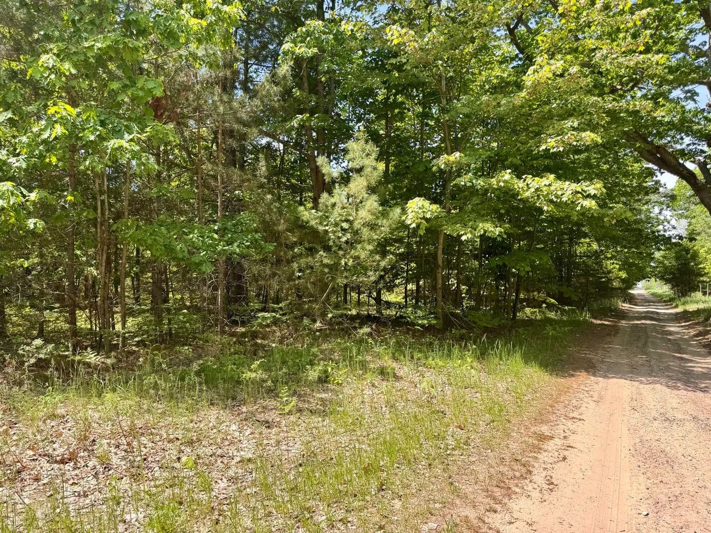 Property from Par 5 Needles Road - KW - Indian River, Michigan, 49749