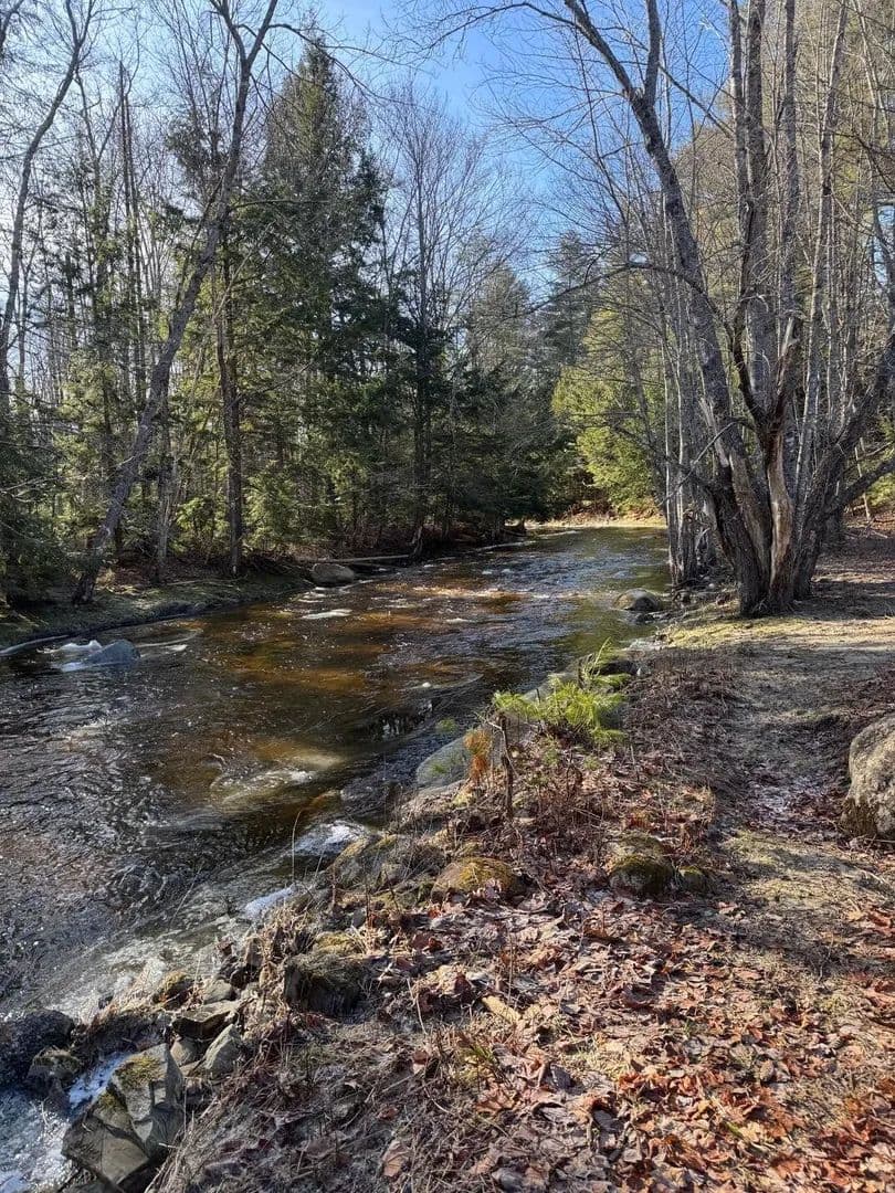 1.5 Acres of Land for Sale in Liberty, ME - Liberty, Maine, 04949