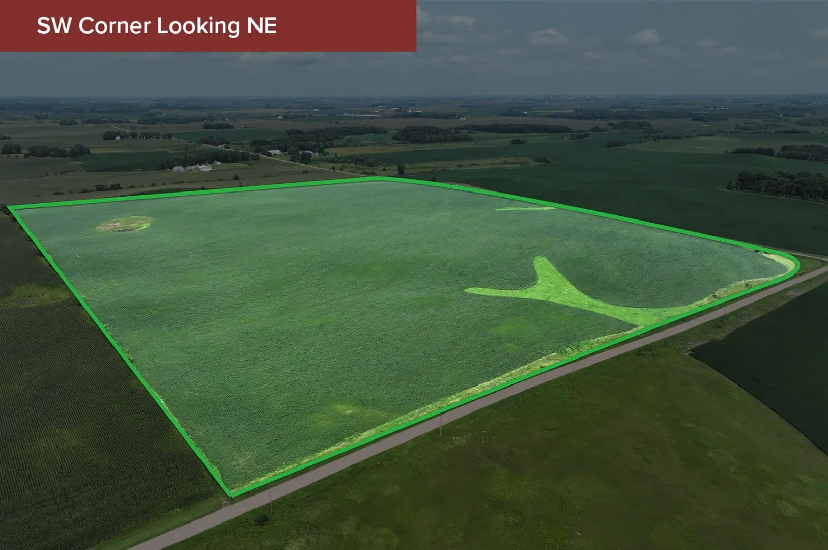 89.35± Acre Farm Auction Waseca County - land for sale