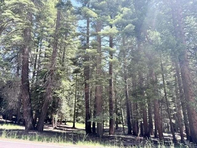 0.41 Acres of Land for Sale in Lake Almanor, California - Lake Almanor, California, 96137