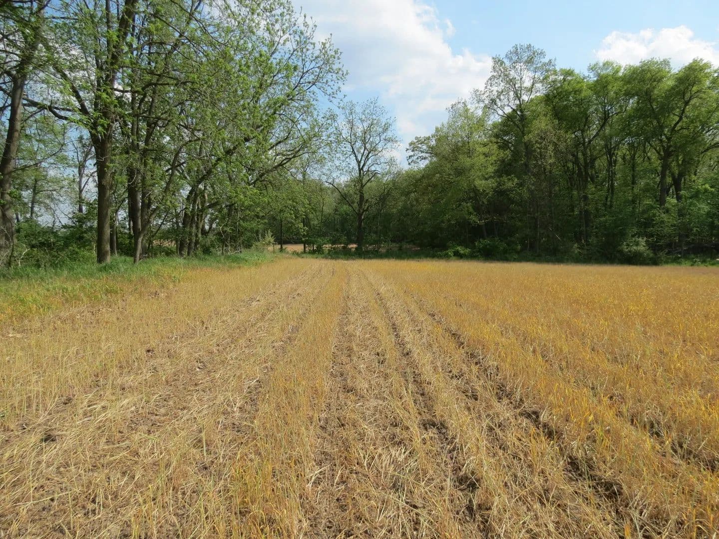 Property from S Stony Lake Road #B - KW - Jackson, Michigan, 49201