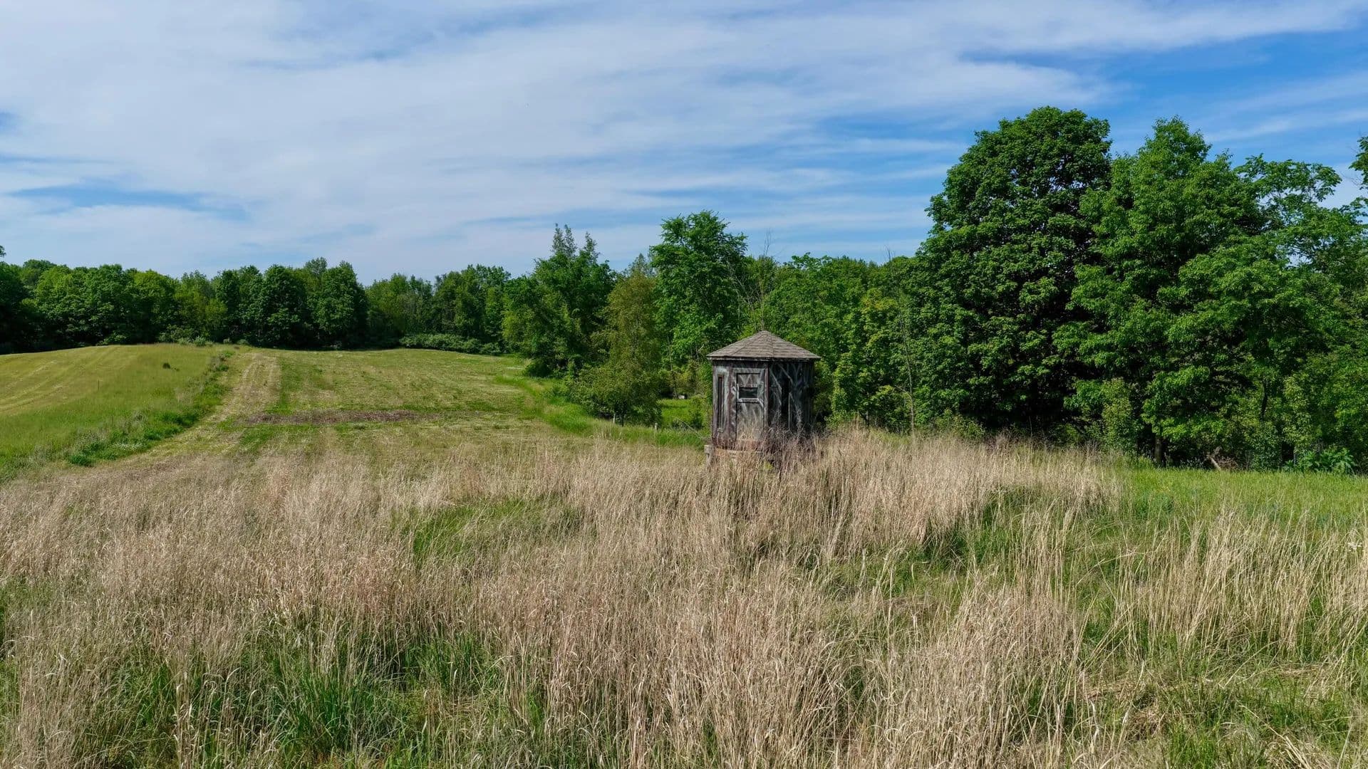 Property from Valley Highway - KW - Vermontville, Michigan, 49096