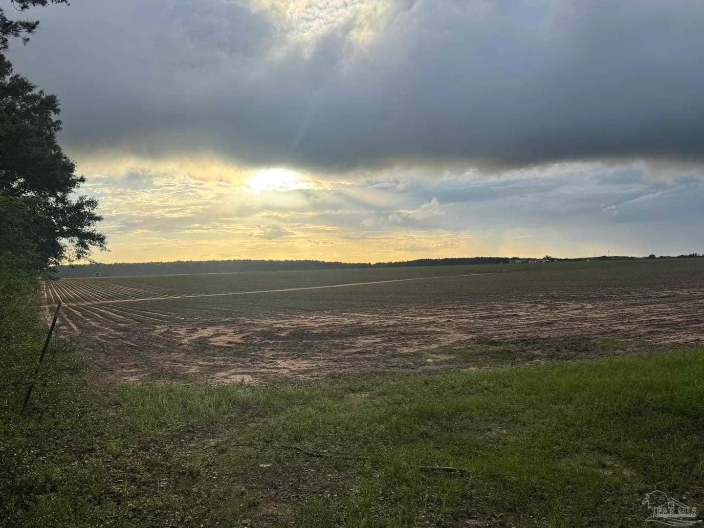 40 Acres of Land for Sale in Repton, AL - Repton, Alabama, 36475