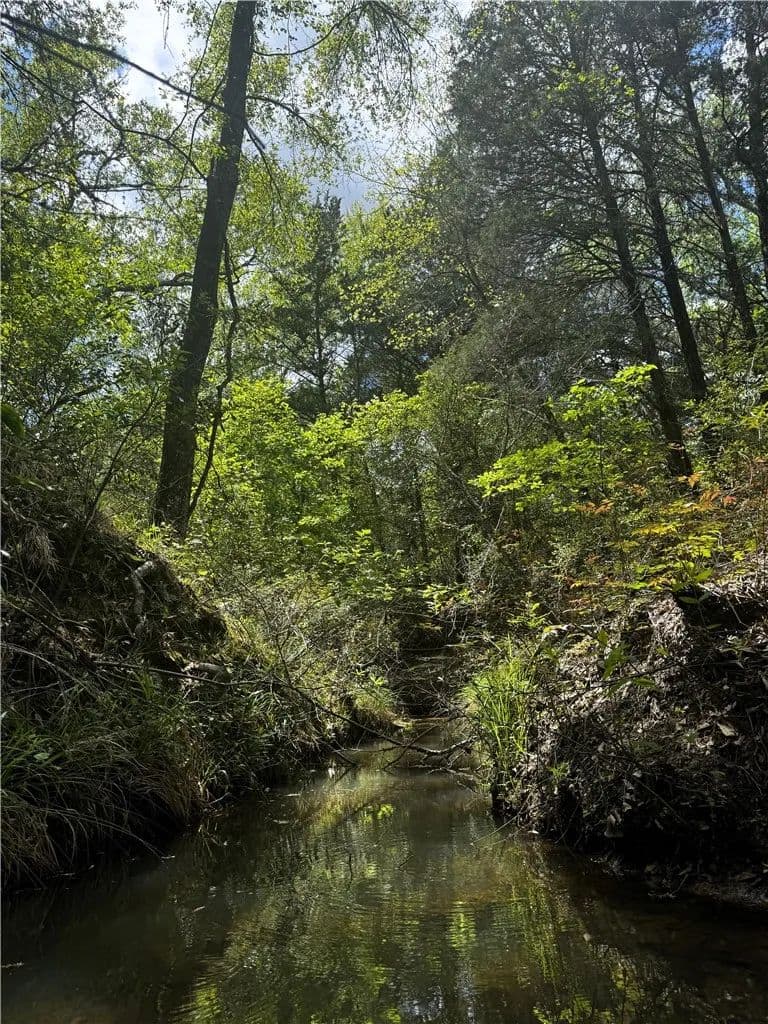 15 Acres of Land for Sale in Franklin, Texas - Franklin, Texas, 77856