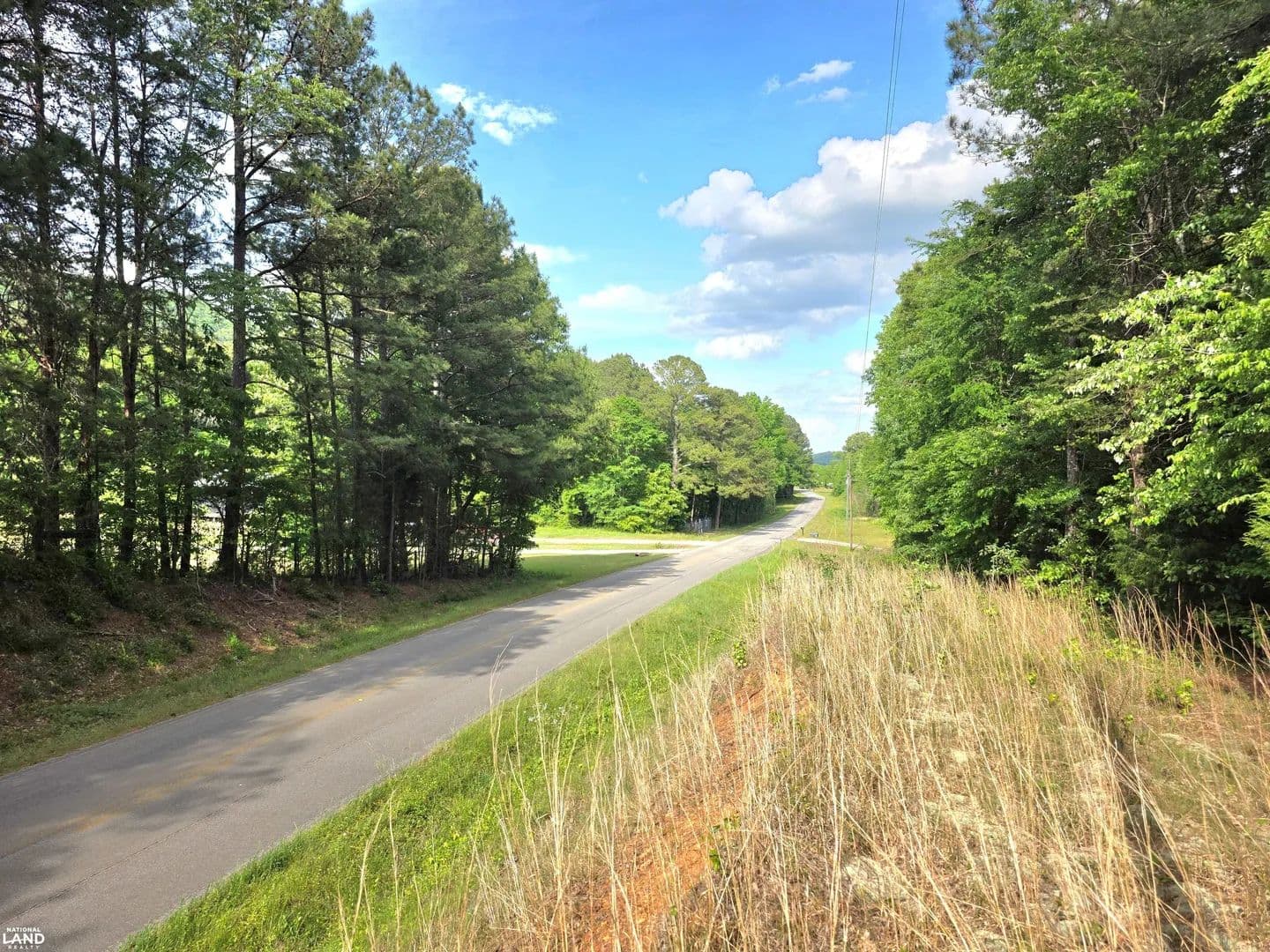 Cove Road Recreational Tract - Steele, Alabama, 35987