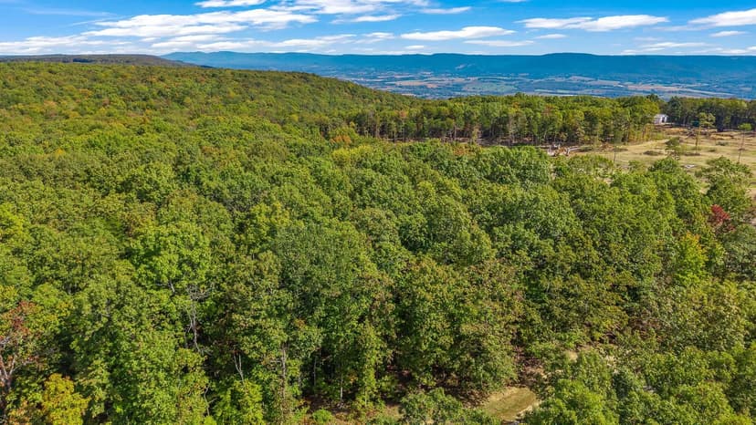 Lots & Land-Other in Pikeville