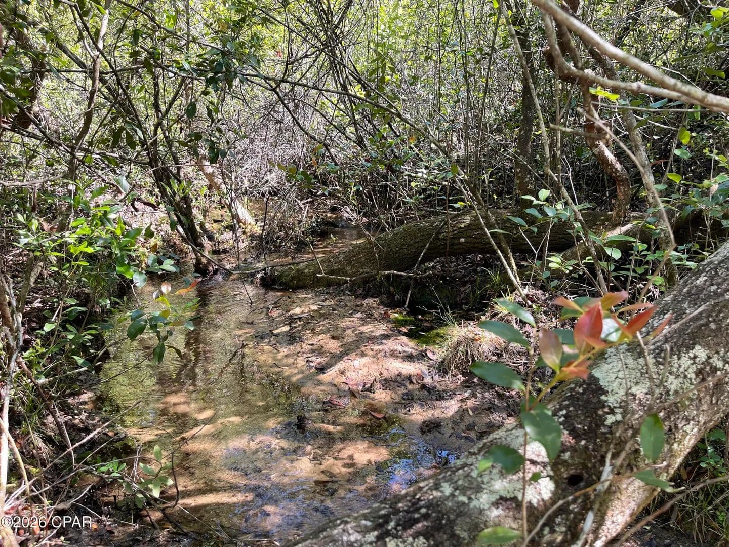 Property from 3333 Peppervine Place - KW - Chipley, Florida, 32428