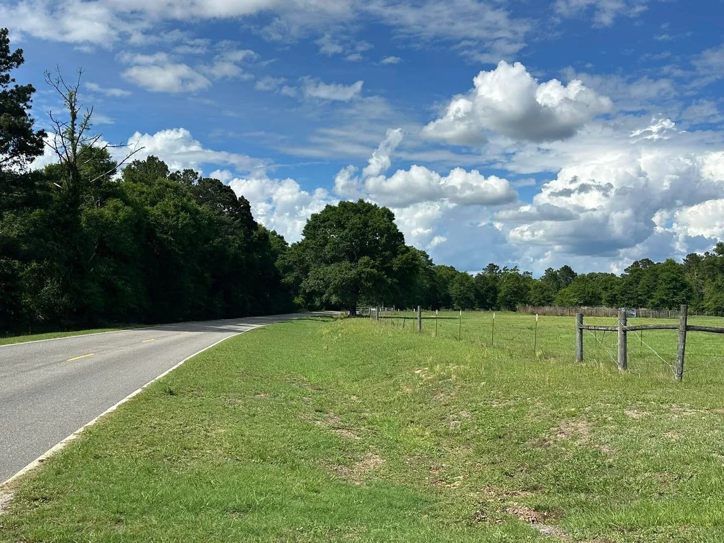 56.3 Acres of Land for Sale in Florala, Alabama - Florala, Alabama, 36442
