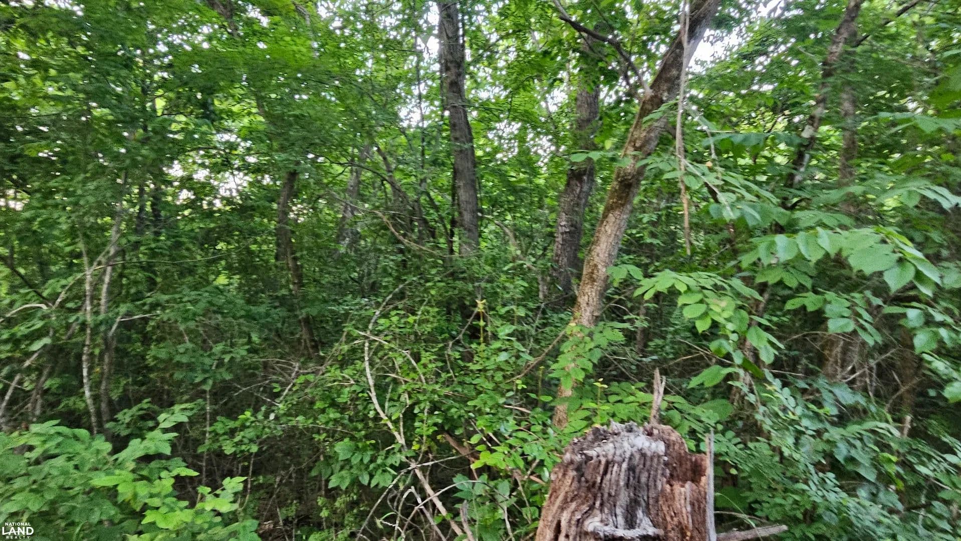 26+/- Acres Tomahawk Slab Road - Saint Joe, Arkansas, 72675