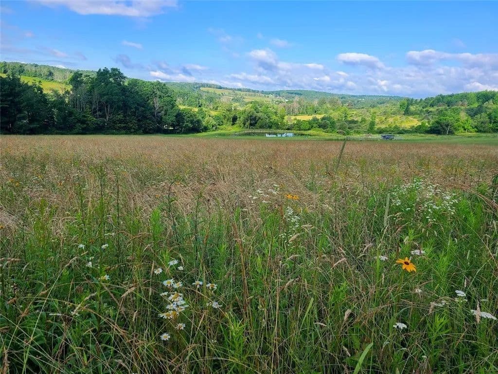 Property from 10815 Church Creek Road - KW - Corning, New York, 14830
