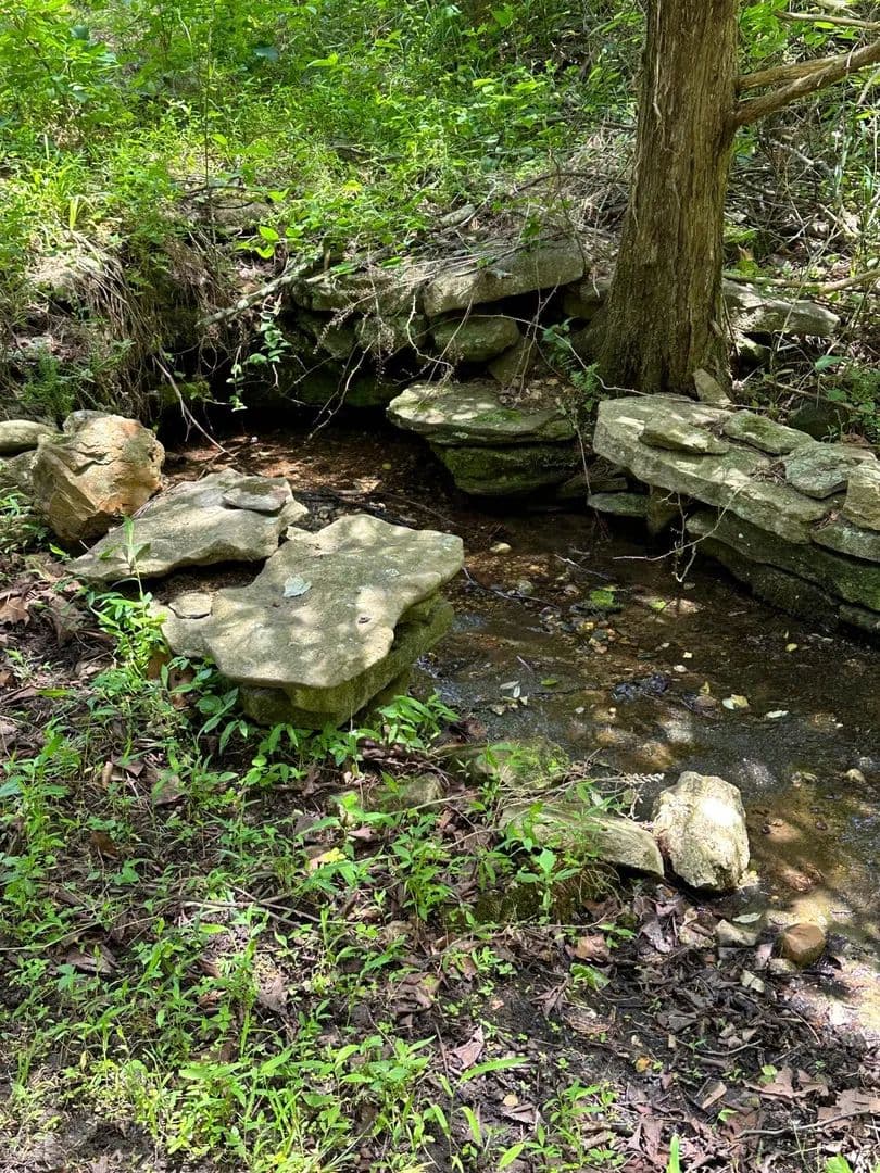 Vacant Land in Pyatt - Pyatt, Arkansas, 72672