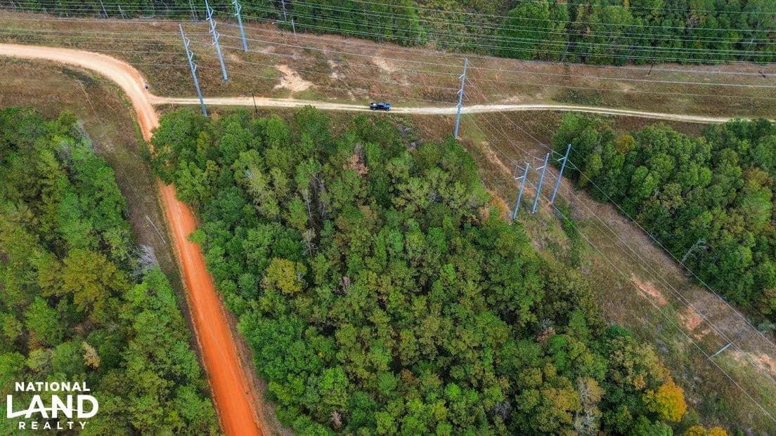 Gantt Home Site and Timber Tract - Gantt, Alabama, 36421