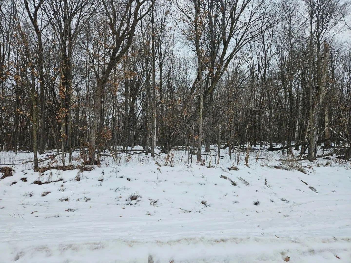 Lots & Land-Other in Saint Stephen - Saint Stephen, Minnesota, 56375