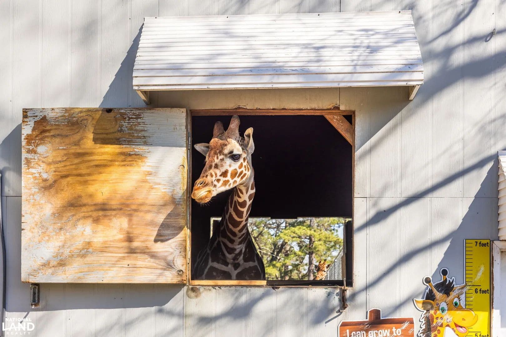 Aloha Safari Park - Cameron, North Carolina, 28326