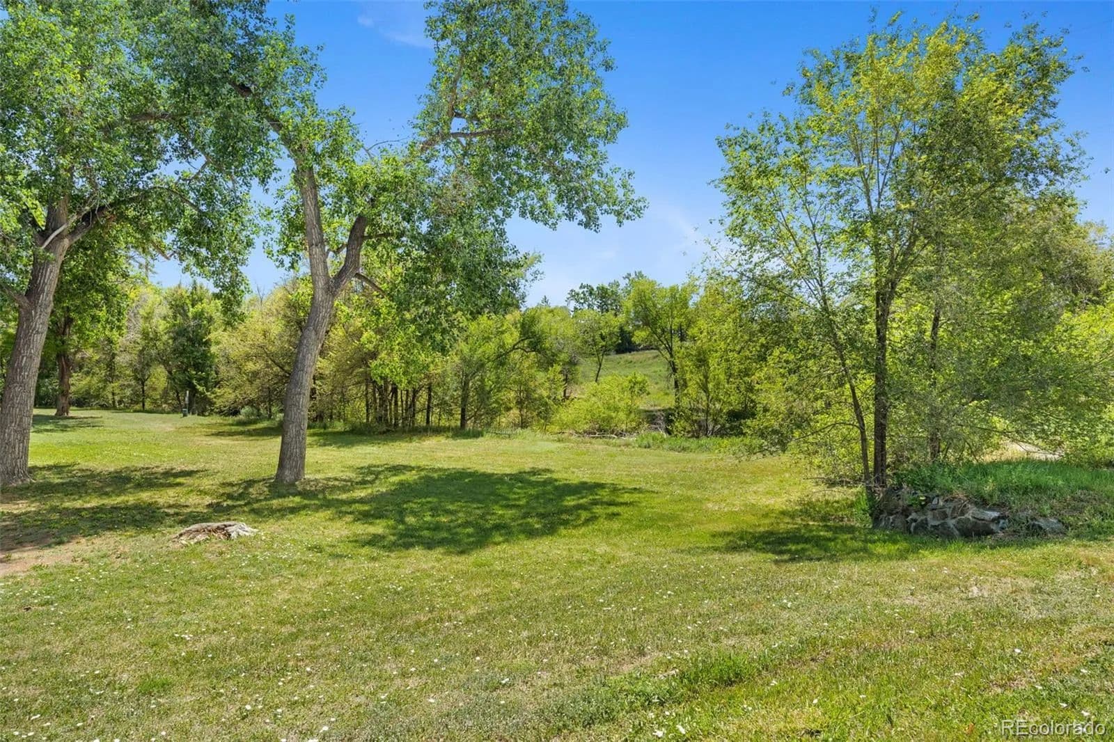 Property from 1010 Pierce Street - KW - Lakewood, Colorado, 80214