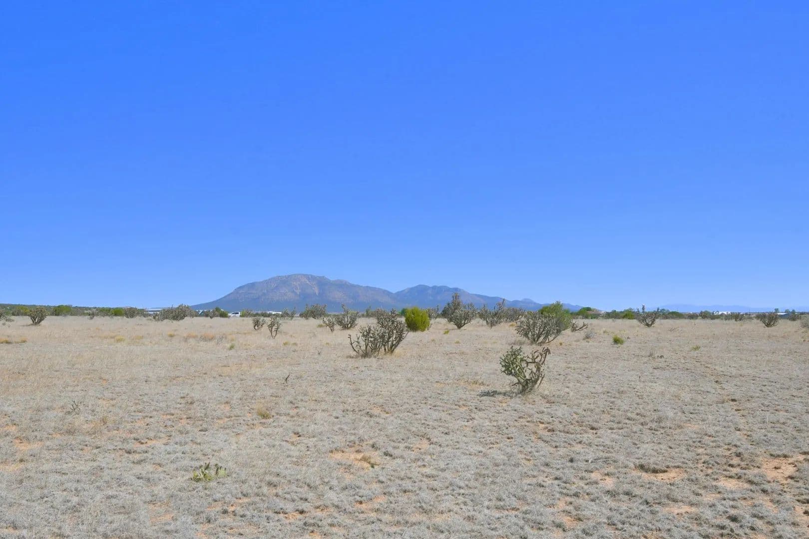 Land -Single Family Acreage in Edgewood - Edgewood, New Mexico, 87015