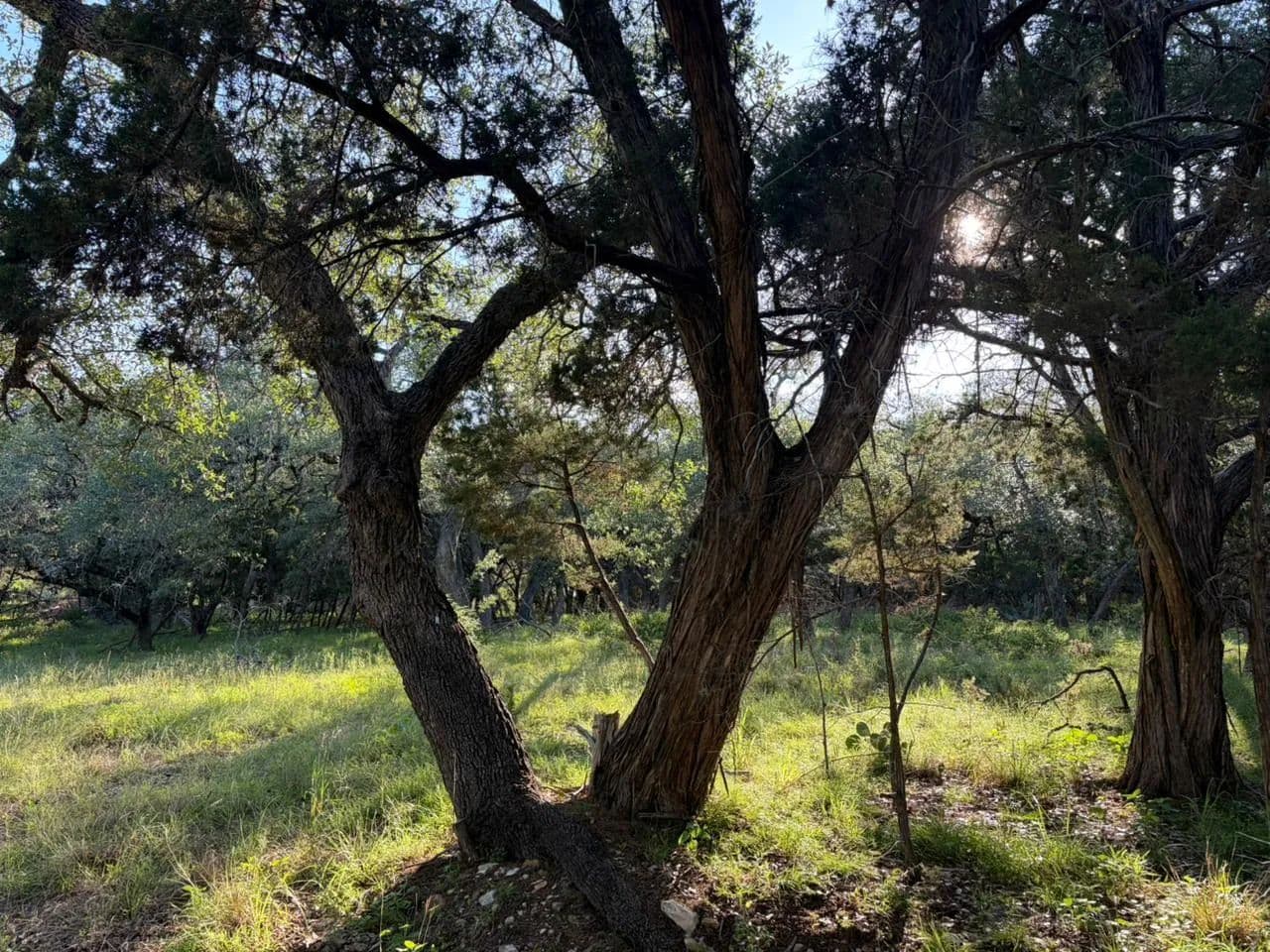 Property from 1206 Fawn Park - KW - Lago Vista, Texas, 78645