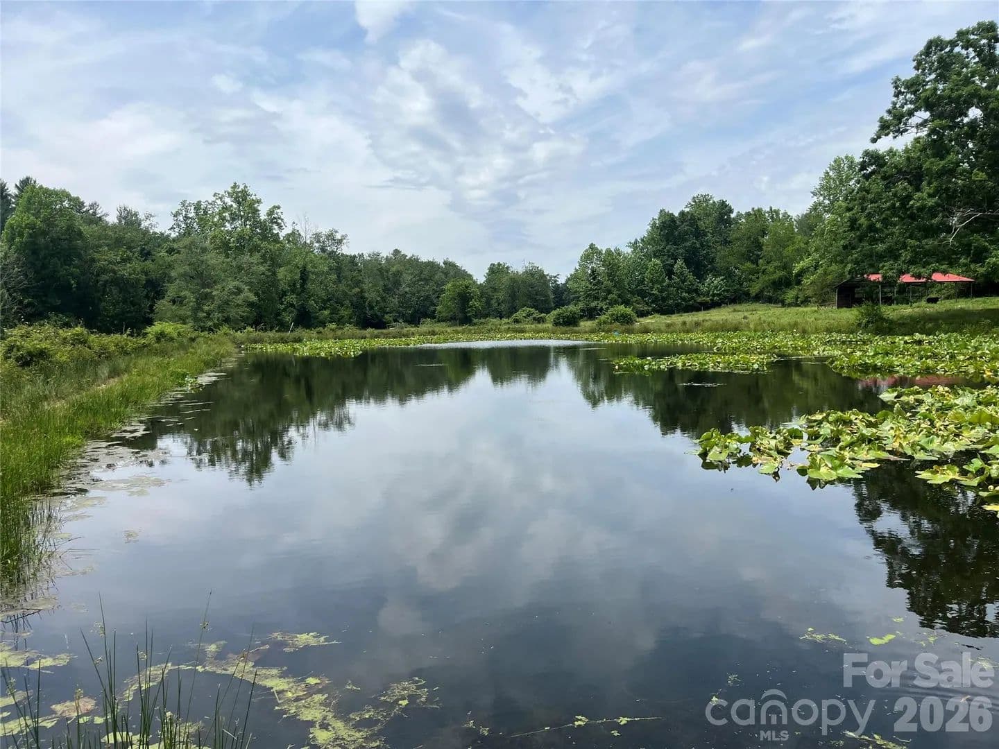 Property from 99999 Jones Road - KW - Fletcher, North Carolina, 28732