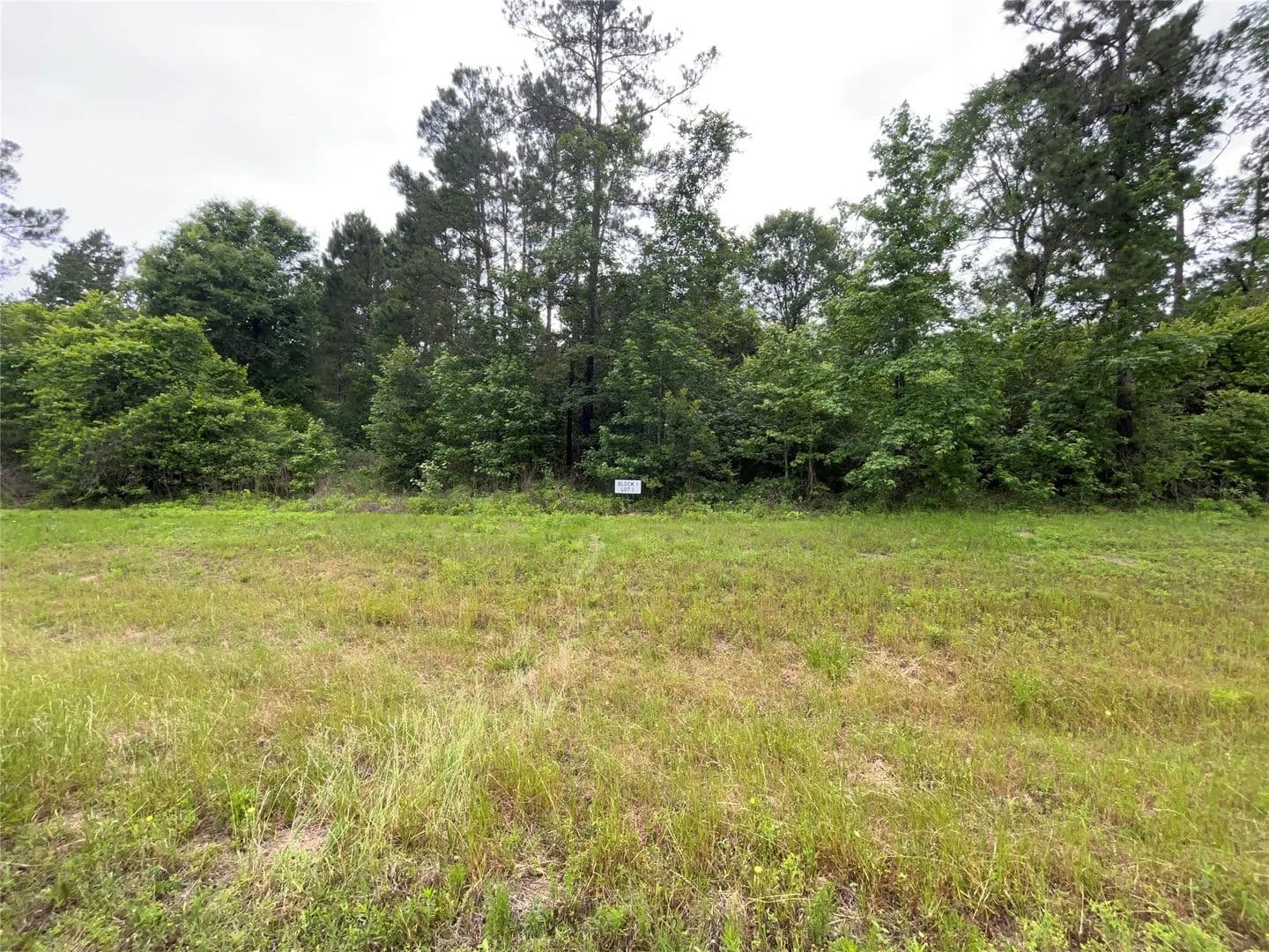 Property from 15841 Ridge Rock Road - KW - Willis, Texas, 77378