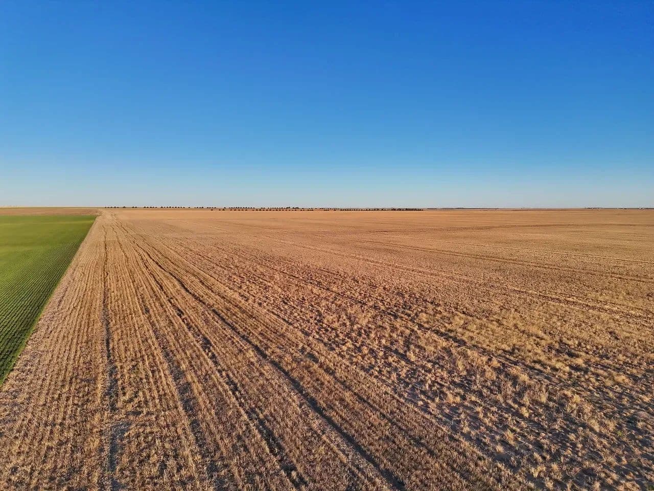 Half Section of Cropland & CRP with Recreational Opportunities - Akron, Colorado, 80720